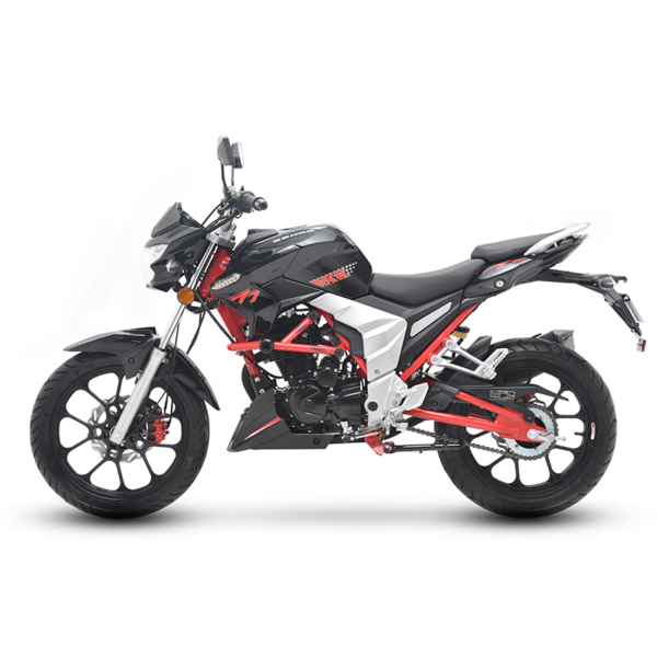 Moto Senke Raptor Sk-125cc – Noir- SK125 Tunisie