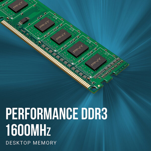 Barrette Mémoire Pny Ddr3 1600mhz 8gb -md8gsd31600nhs Tunisie