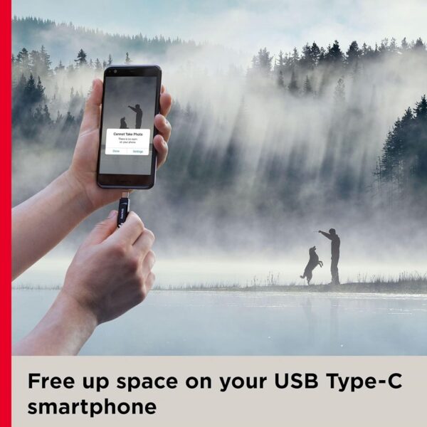 Clé Usb Type-c Ultra Dual Drive Go Sandisk 256 Go – Noir – SDDDC3-256G-G46 Tunisie