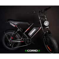 Bicyclette Électrique Ecoride Er2-v2 500w – Noir – EC-ER2 Tunisie