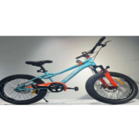 Vélo Enfant Best Bike 20″- bleu- KTZ20 best buy