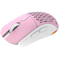 Souris Gamer AQIRYS T.G.A ALPHA Double Mode RGB – 19000 dpi – Blanc Tunisie