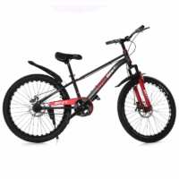 Vélo Enfant Best Bike 20″- Gris – S20 Tunisie