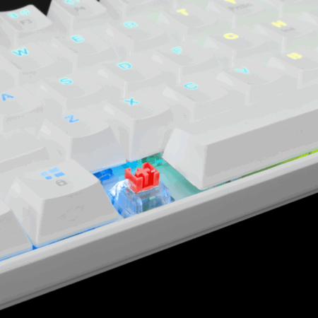 Clavier Gaming Mécanique White Shark Shinobi Gk-2022 Rgb Red Switches – Blanc Tunisie