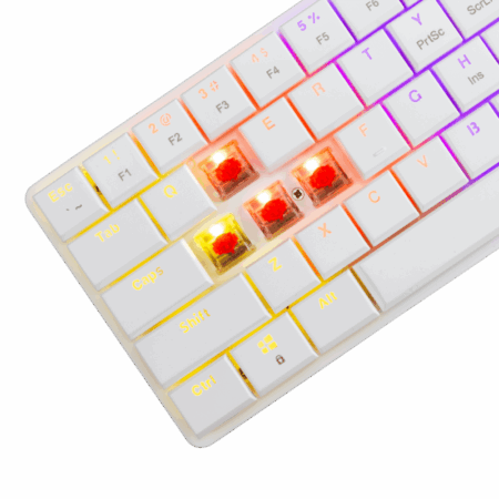 Clavier Gaming White Shark Nagamaki Red Switches – Blanc- GK-006211 Tunisie