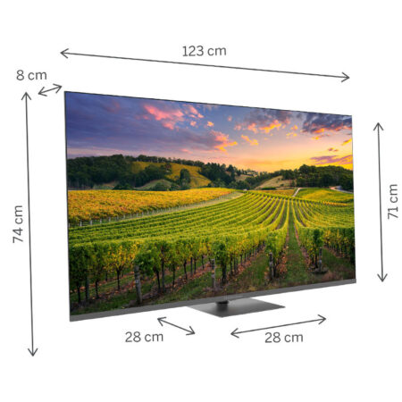 Téléviseur Thomson 55QG5C14 Smart QLED Google Tv Noir Tunisie