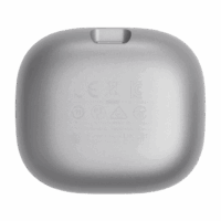 Écouteurs JBL Live Flex – Silver – JBLLIVEFLEXSVR Tunisie