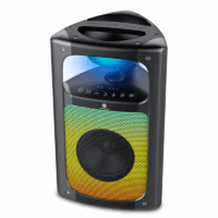 Haut parleur Sans Fil Gold Sound -Noir – GS-UF65 Tunisie