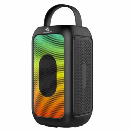 Haut parleur Sans Fil Gold Sound -Noir – GS-EP20 Tunisie