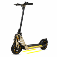 Bouilloire Électrique Prova PE-414 1.7 L 1500 W Inox Tunisie