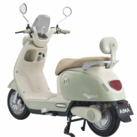 Scooter Électrique Aima Classical 800W – Vert & Baige Tunisie