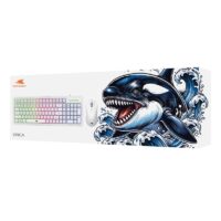 Ensemble Clavier + Souris Filaire BARACUDA ORCA  Blanc – BGC-012 Tunisie